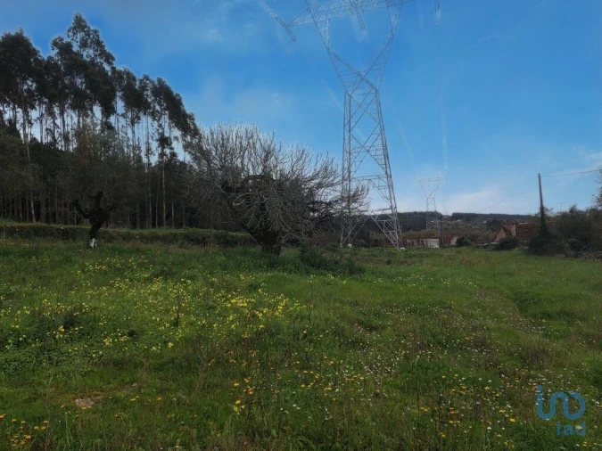 Moradia T2 para Venda em Alcobaça e Vestiaria Foto 5