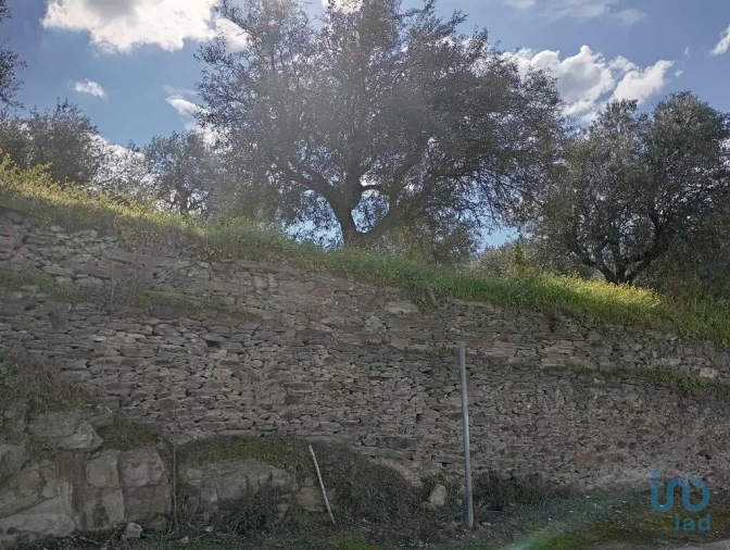 Terreno para Venda em Torre de Moncorvo Foto 5