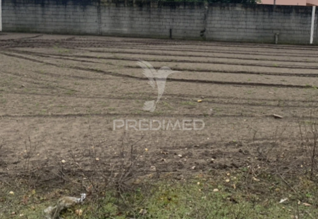 Terreno para Venda em Estela Foto 1