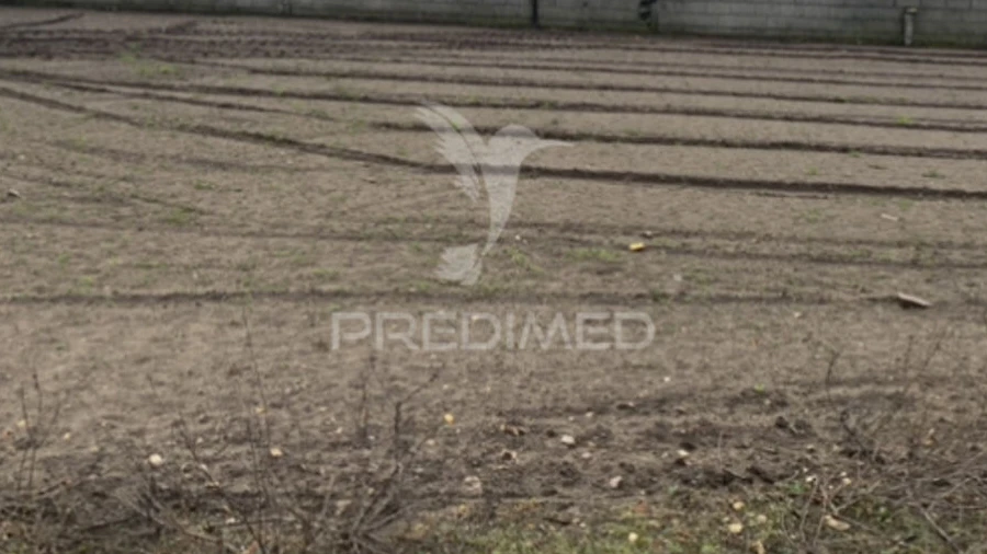 Terreno para Venda em Estela
