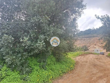 Terreno para Venda em São Brás de Alportel