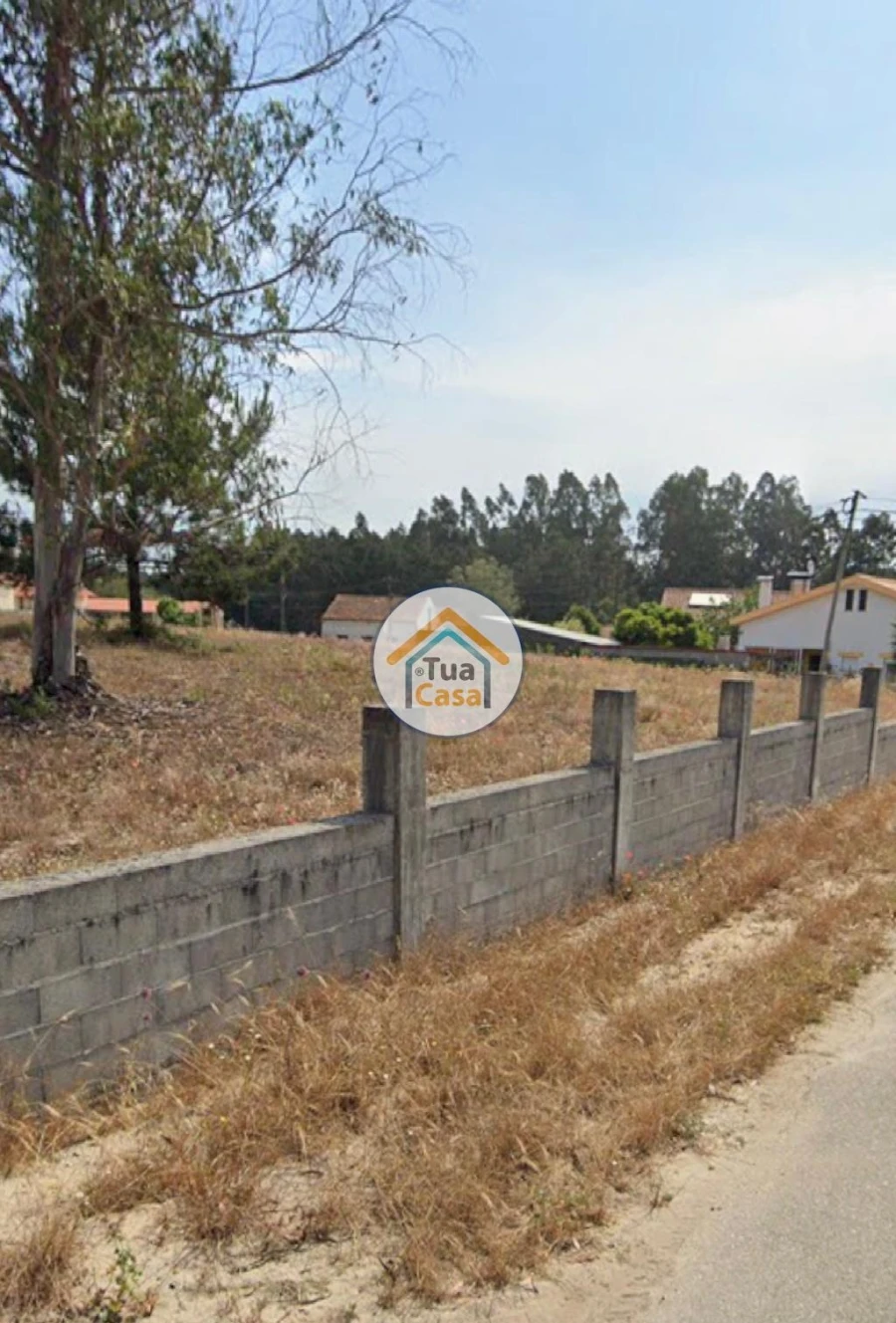 Terreno para Venda em Febres Foto 15