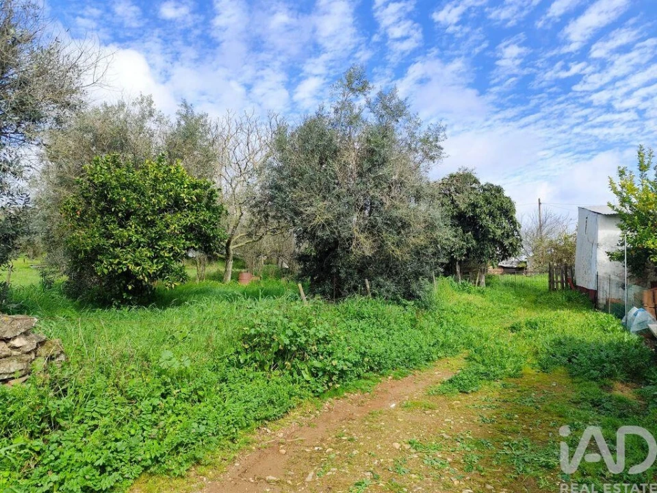 Moradia T4 para Venda em Arcos Foto 26