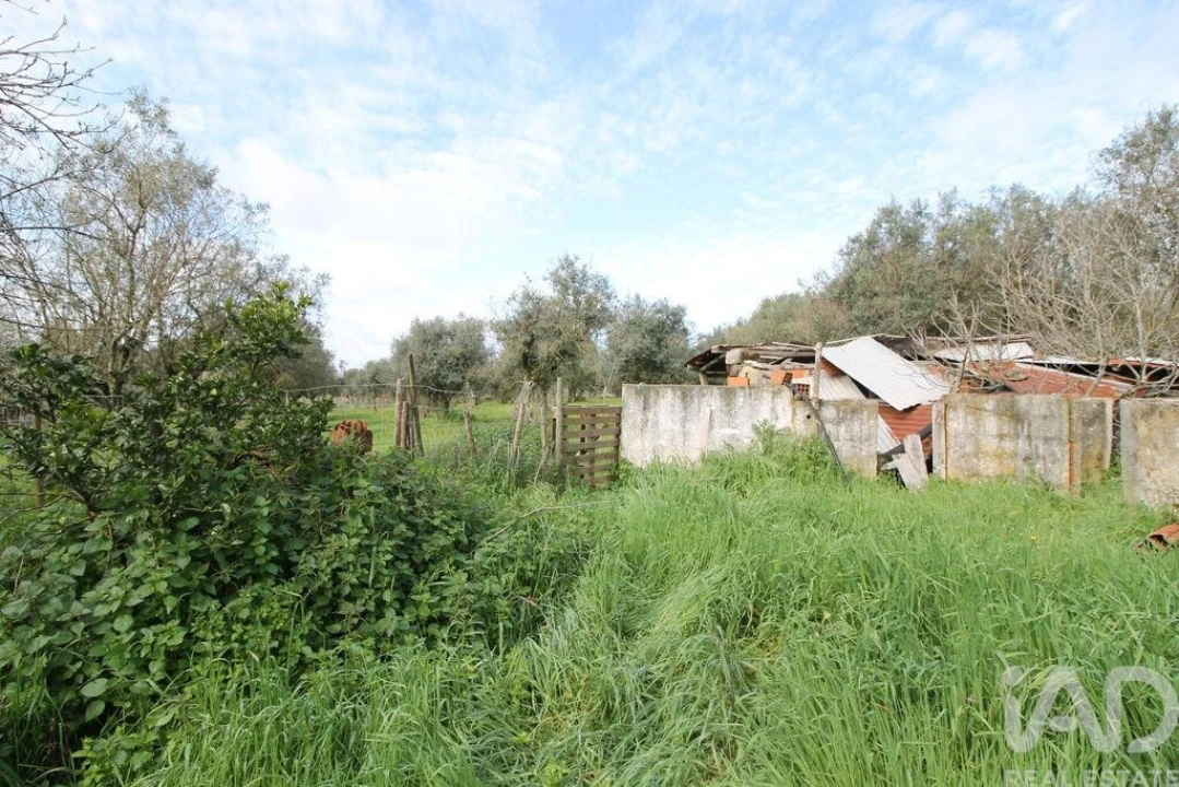 Moradia T4 para Venda em Arcos Foto 22