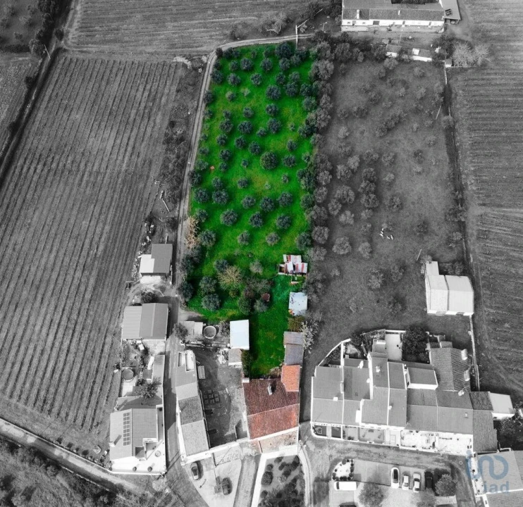 Moradia T4 para Venda em Arcos Foto 3