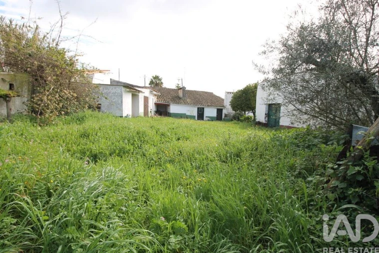 Moradia T4 para Venda em Arcos Foto 23