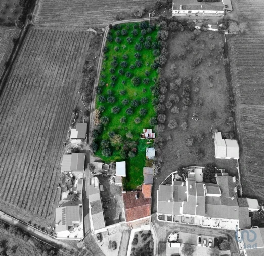 Moradia T4 para Venda em Arcos Foto 3