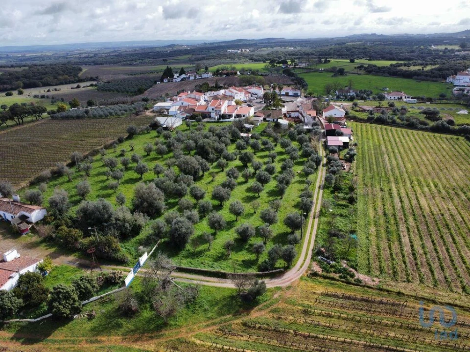 Moradia T4 para Venda em Arcos Foto 1