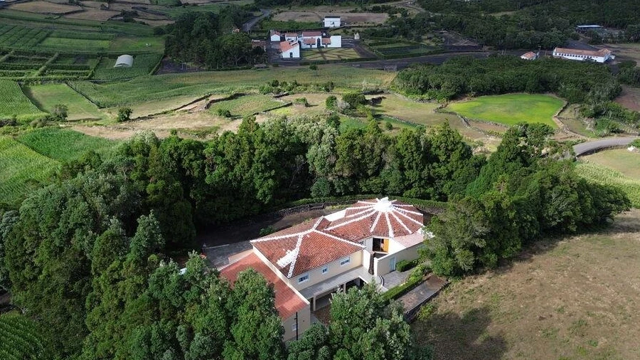 Moradia T8 para Venda em Piedade