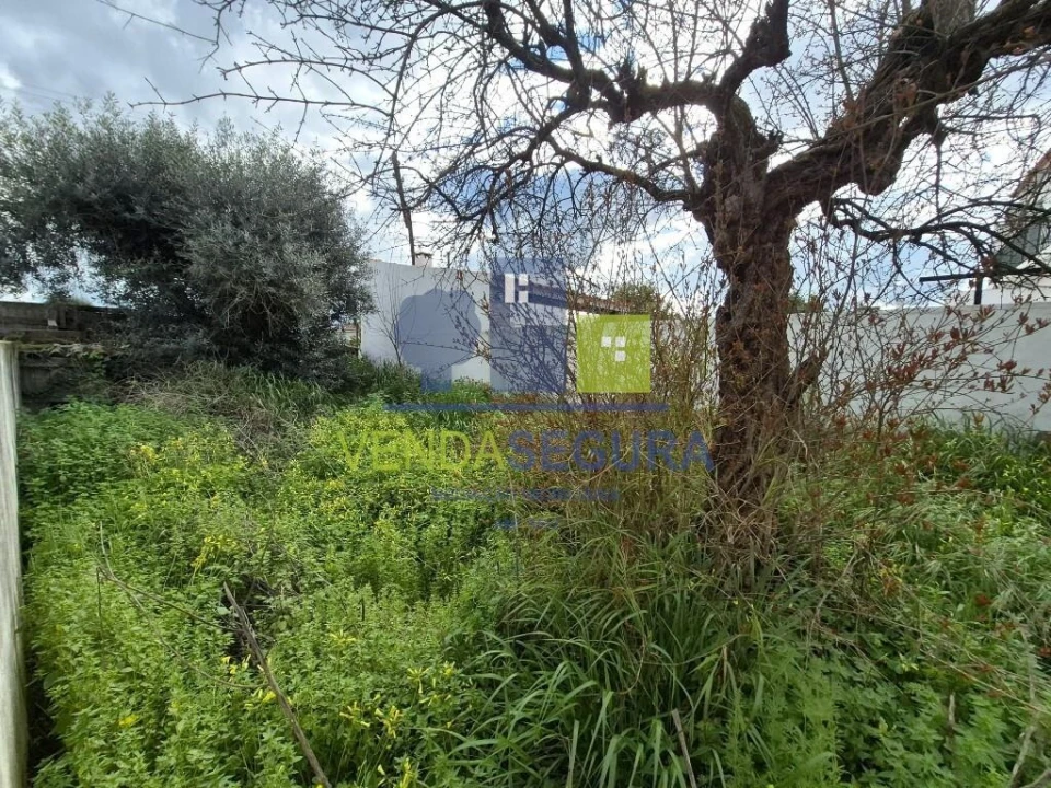 Moradia T2 para Venda em Safara e Santo Aleixo da Restauração Foto 23