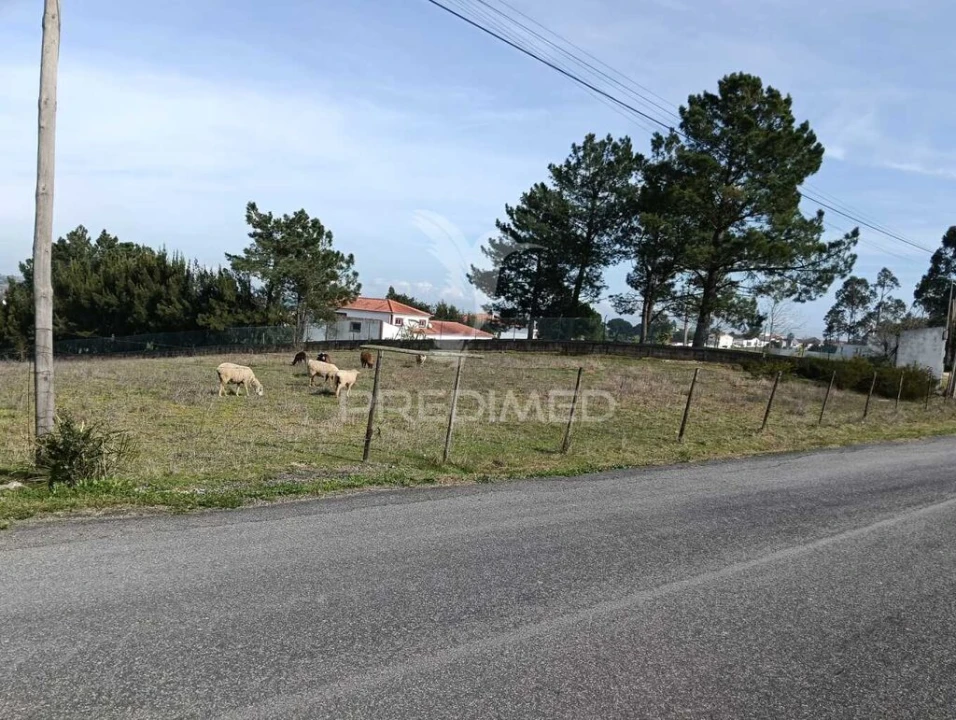 Terreno para Venda em Ereira e Lapa Foto 5