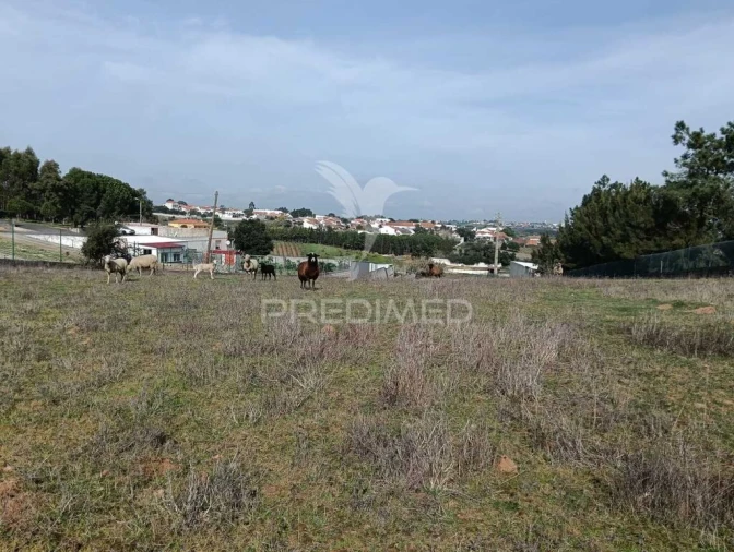 Terreno para Venda em Ereira e Lapa Foto 10
