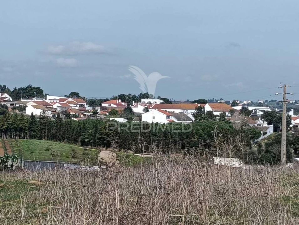 Terreno para Venda em Ereira e Lapa Foto 4