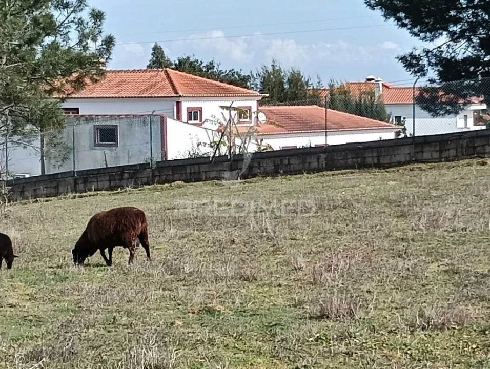 Terreno para Venda em Ereira e Lapa Foto 1