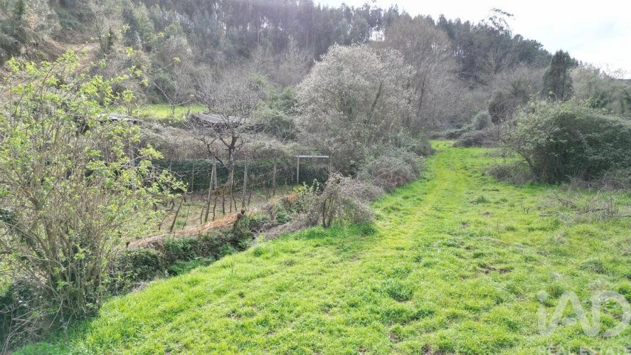 Terreno para Venda em Espinhal Foto 16