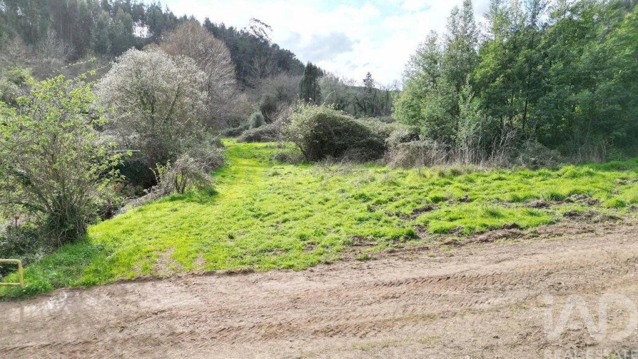 Terreno para Venda em Espinhal Foto 15