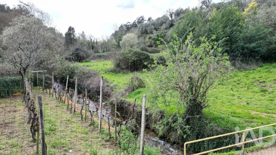 Terreno para Venda em Espinhal Foto 18