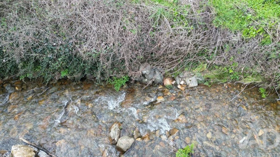 Terreno para Venda em Espinhal Foto 19