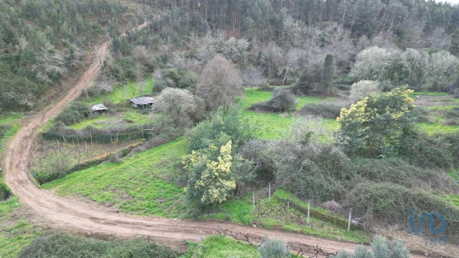 Terreno para Venda em Espinhal Foto 13