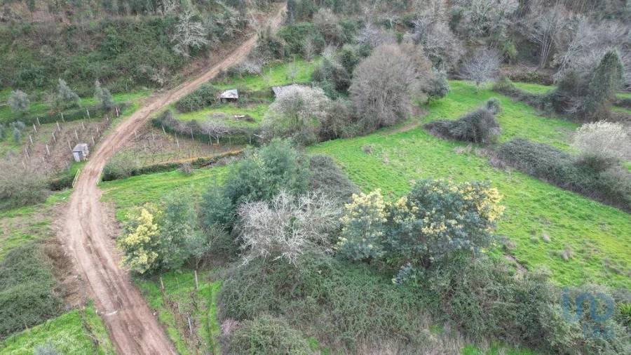 Terreno para Venda em Espinhal Foto 14