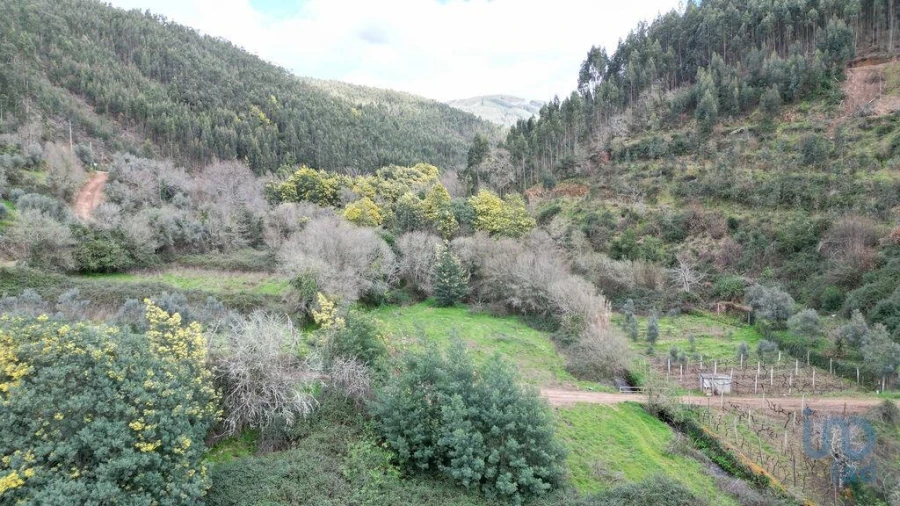 Terreno para Venda em Espinhal Foto 10