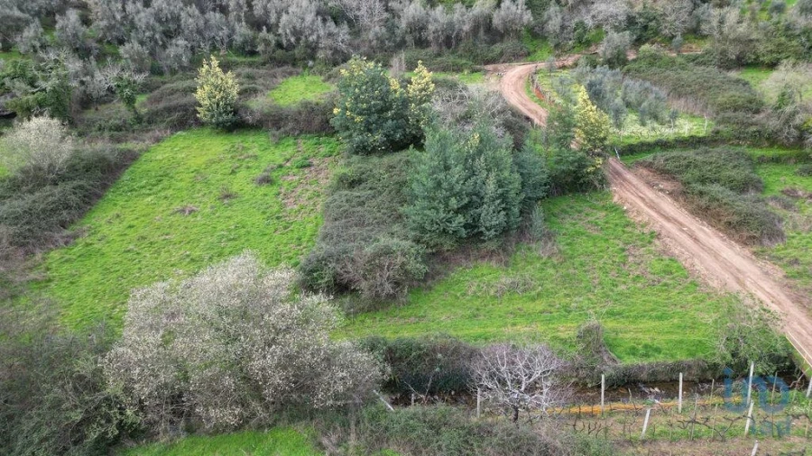 Terreno para Venda em Espinhal Foto 8