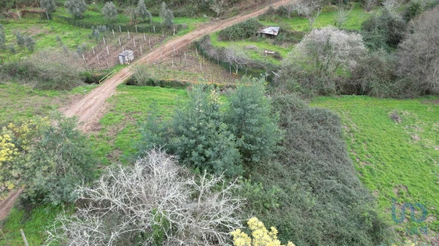 Terreno para Venda em Espinhal Foto 11