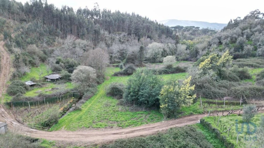 Terreno para Venda em Espinhal Foto 12
