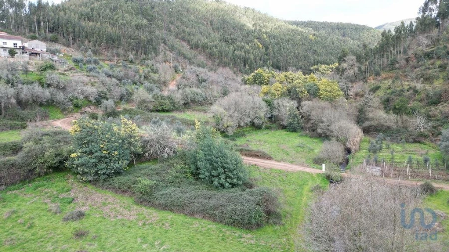 Terreno para Venda em Espinhal Foto 9