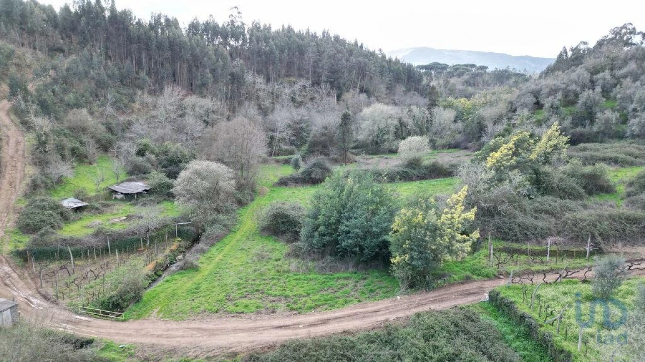 Terreno para Venda em Espinhal Foto 12