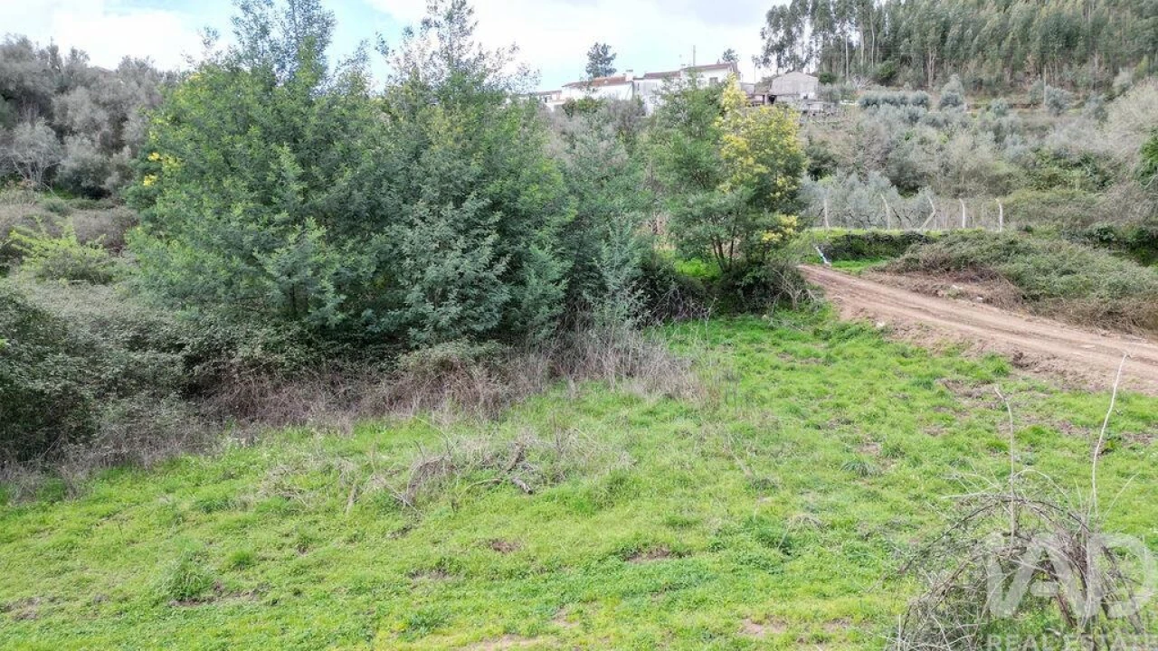 Terreno para Venda em Espinhal Foto 20