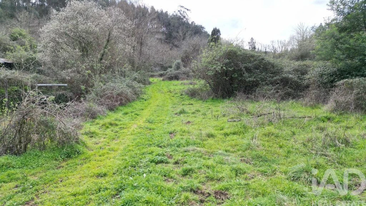Terreno para Venda em Espinhal Foto 17