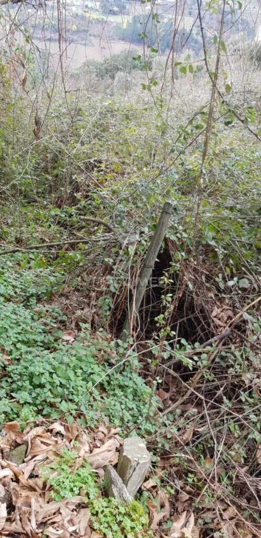 Terreno para Venda em Moura Morta e Vinhós Foto 1