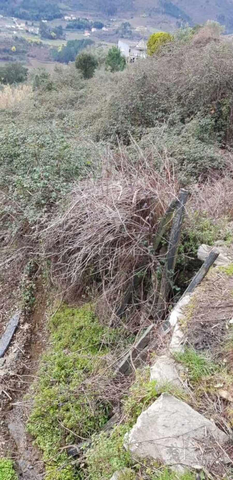 Terreno para Venda em Moura Morta e Vinhós Foto 2