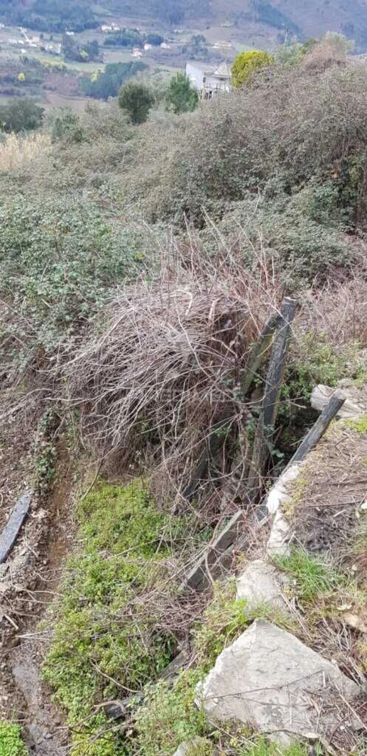 Terreno para Venda em Moura Morta e Vinhós Foto 2