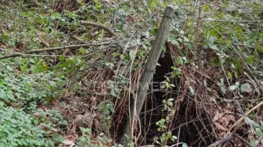 Terreno para Venda em Moura Morta e Vinhós