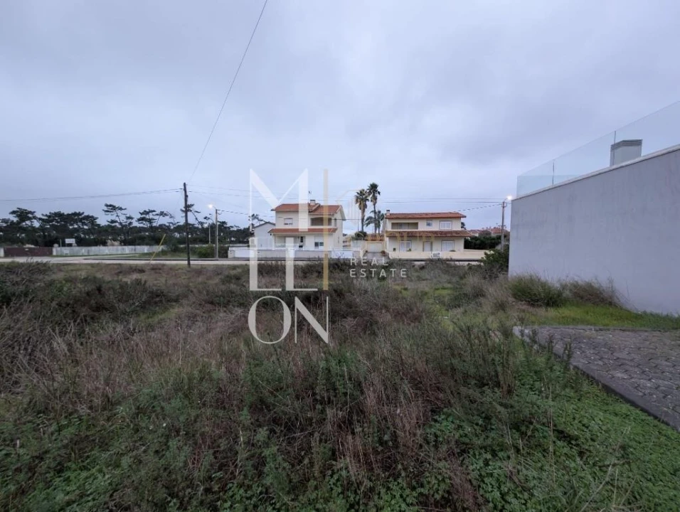 Terreno para Venda em São Jacinto Foto 4