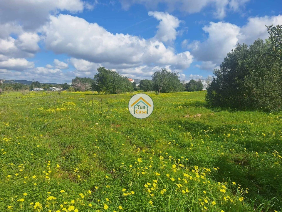 Terreno para Venda em Faro (Sé e São Pedro) Foto 4