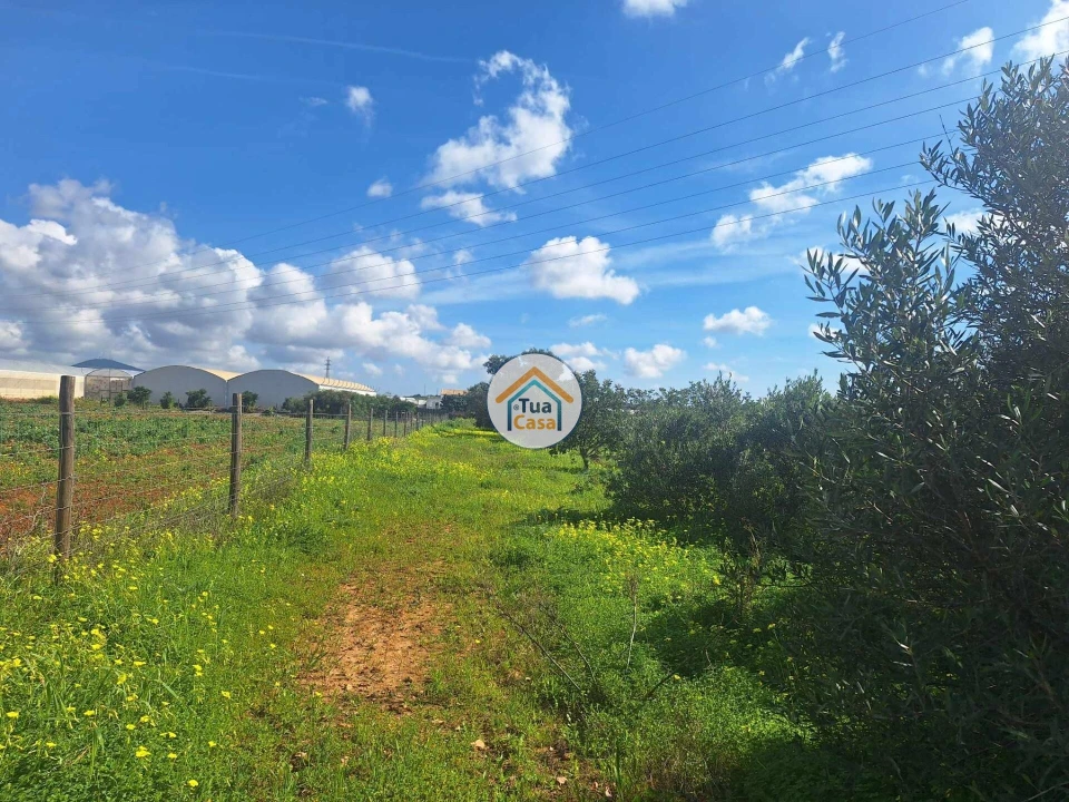Terreno para Venda em Faro (Sé e São Pedro) Foto 22