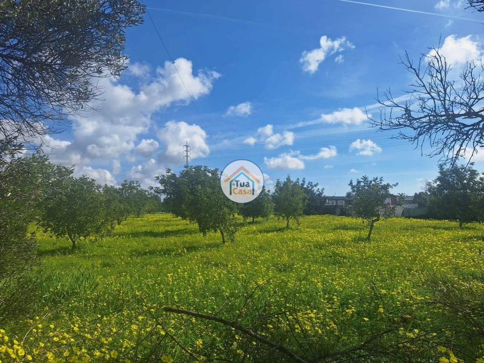 Terreno para Venda em Faro (Sé e São Pedro) Foto 19