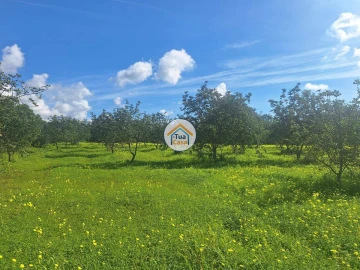 Terreno para Venda em Faro (Sé e São Pedro)