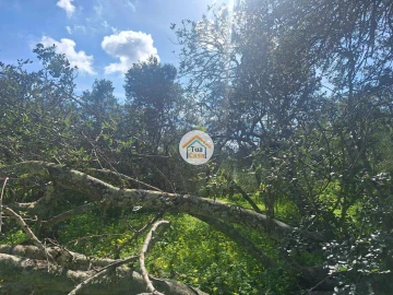Terreno para Venda em Faro (Sé e São Pedro)