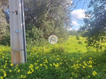 Terreno para Venda em Faro (Sé e São Pedro)