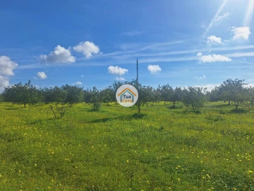 Terreno para Venda em Faro (Sé e São Pedro)