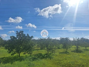 Terreno para Venda em Faro (Sé e São Pedro)