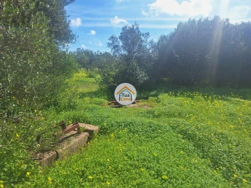 Terreno para Venda em Faro (Sé e São Pedro)