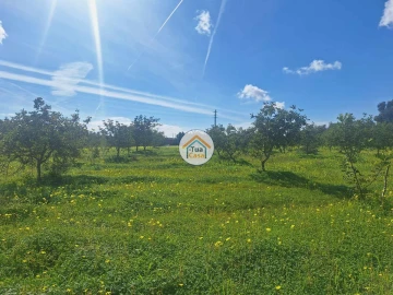 Terreno para Venda em Faro (Sé e São Pedro)
