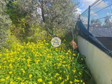 Terreno para Venda em Faro (Sé e São Pedro)