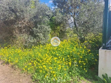 Terreno para Venda em Faro (Sé e São Pedro)