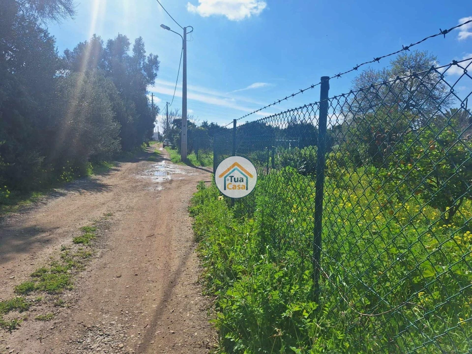 Terreno para Venda em Faro (Sé e São Pedro) Foto 21